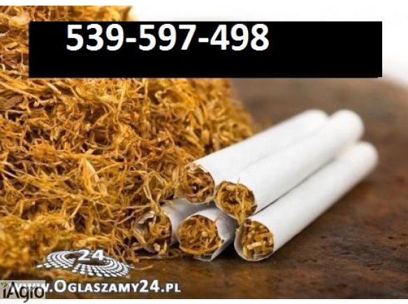 Super tytoń wszystkie rodzaje ld,marlboro,korsarz 539-597-498