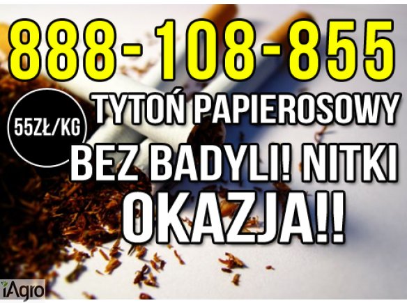 Tytoń papierosowy 55zl/kg Wysyłka 24H! Pewny tytoń prosto z hurtowni! 