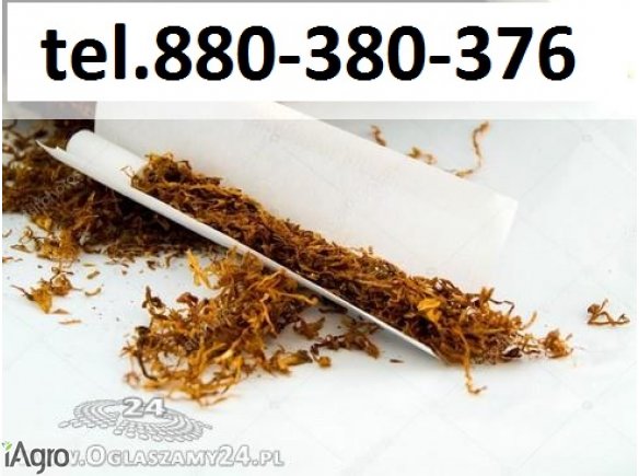 Super tytoń wszystkie rodzaje ld,marlboro,korsarz 70zł kg