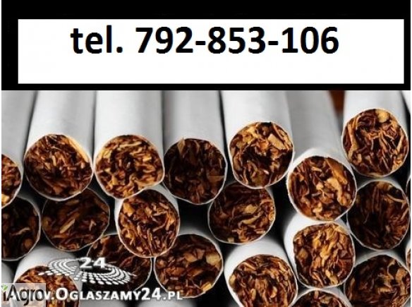 Super tytoń wszystkie rodzaje ld,marlboro,korsarz 70zł kg