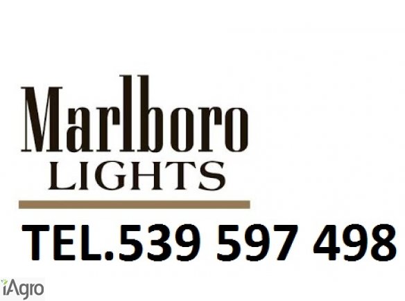 Super tytoń wszystkie rodzaje ld,marlboro,korsarz 539-597-498