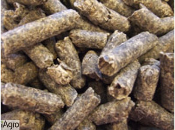  Pasze melasowane od 350 zl/tona, drozdze piwne, ziarno, sieczka z lucerny, burak cukrowy 85 zl/tona. Produkcja cukru spozywczego, bioetanolu. Wyslodki, korzonki buraczane o standardowej zawartosci cukru 18%. Cukrownia grupy gorzelni rolniczych przemyslu 