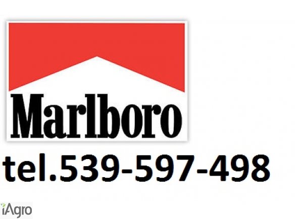 Super tytoń wszystkie rodzaje ld,marlboro,korsarz 539-597-498