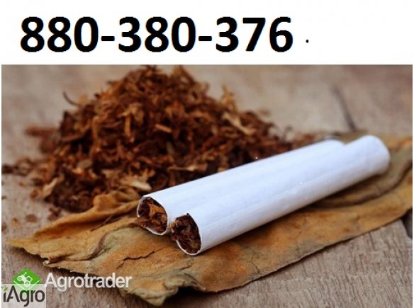 Super tytoń wszystkie rodzaje ld,marlboro, korsarz ondraszek i inne 70zł  880-380-376
