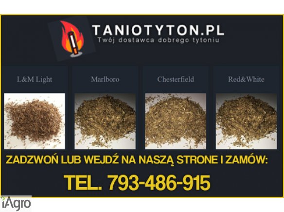 Tani Tytoń 65zł/kg ! Czysty tytoń, najlepsza jakość L&M, Marlboro, www.TanioTyton.pl