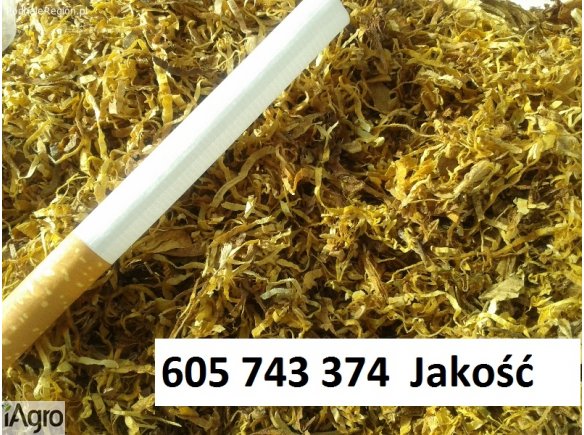 Tani tyton , Tytoń papierosowy , Tyton do gilz , Tyton do palenia , Tytoń GWARANCJA
