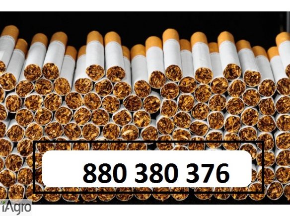 Super tytoń wszystkie rodzaje ld,marlboro,korsarz 70zł kg