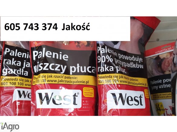 Tyton Korsarz , Tyton Ondraszek , Tyton Marlboro, Tyton West , Tyton RGD , Tyton Viceroy , Tani Tytoń 