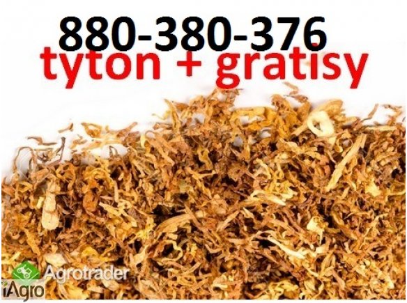 Super tytoń wszystkie rodzaje ld,marlboro, korsarz ondraszek i inne 70zł 792853106