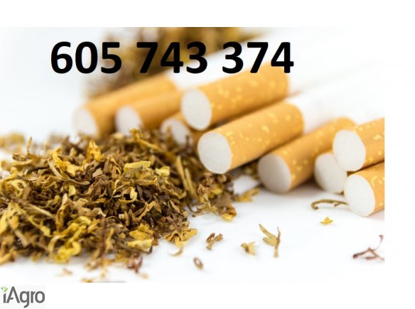 Tyton , tani dobry tyton papierosowy , bez kolkow mialu i zanieczyszczen , Tyton Korsarz , Tyton Ondraszek