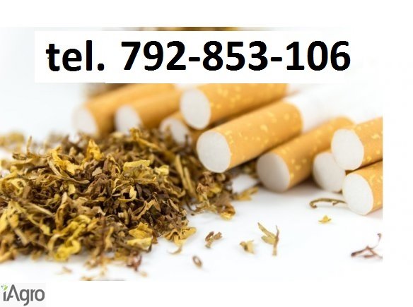Super tytoń wszystkie rodzaje ld,marlboro, korsarz ondraszek i inne 70zł 792853106