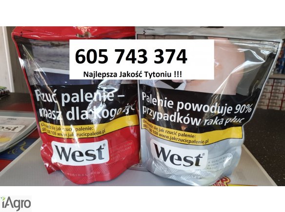 Tani dobry tyton , tytoń bez śmieci , Tyton papierosowy , tyton do gilz , 