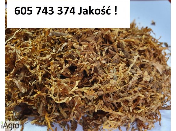 Tani dobry tyton , Tytoń bez śmieci , Tyton korsarz , Tyton ondraszek , Tyton papierosowy , tyton do gilz