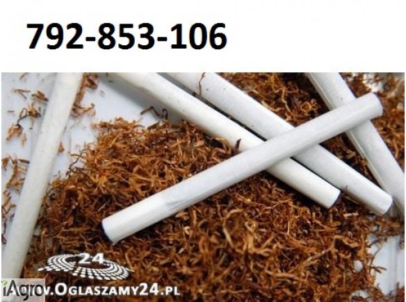 Super tytoń wszystkie rodzaje ld,marlboro, korsarz ondraszek i inne 70zł 792853106