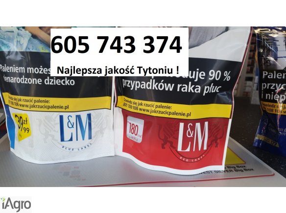 Tani dobry Tyton , Tytoń bez śmieci , Tyton do gilz , Tyton Korsarz , Tyton Ondraszek , Tyton Viceroy