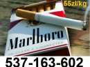 Tani tytoń 55zł/kg Gratisy dla stałych klientów! Dzwoń ! 537-163-602