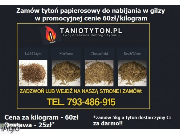 Tani Tytoń 60zł/kg ! Czysty tytoń, najlepsza jakość L&M, Marlboro, www.TanioTyton.pl